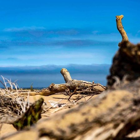 Shipwreck Lodge Mowebaai Exteriér fotografie