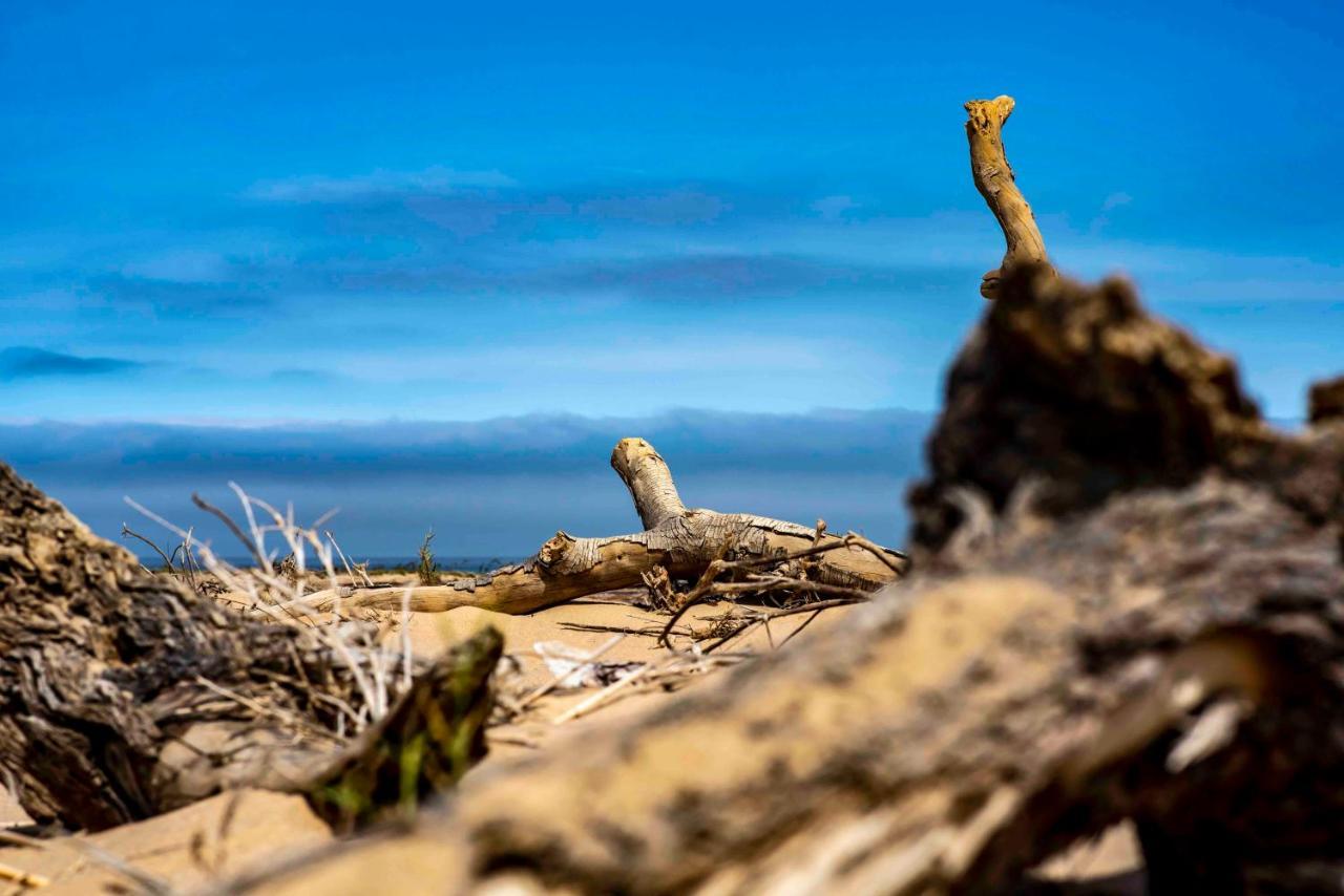 Shipwreck Lodge Mowebaai Exteriér fotografie