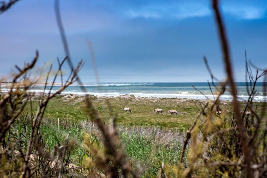 Shipwreck Lodge Mowebaai Exteriér fotografie