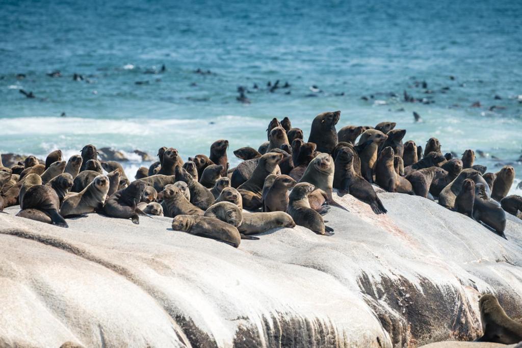 Shipwreck Lodge Mowebaai Exteriér fotografie