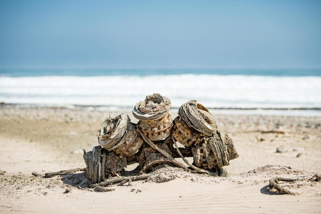Shipwreck Lodge Mowebaai Exteriér fotografie